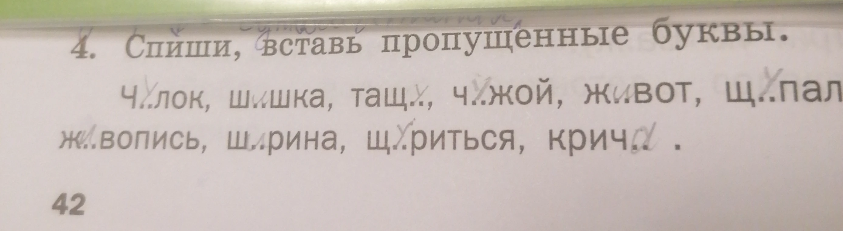 Спиши, вставь пропущенные буквы. чулок, шишка, тащу, чужой, живот, щупал, живопись, ширина, щуриться, кричу.