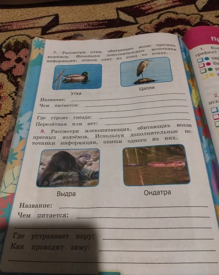 7. Рассмотри птиц, обитающих возле пресных водоёмов. Используя дополнительные источники информации, опиши одну из птиц по плану.