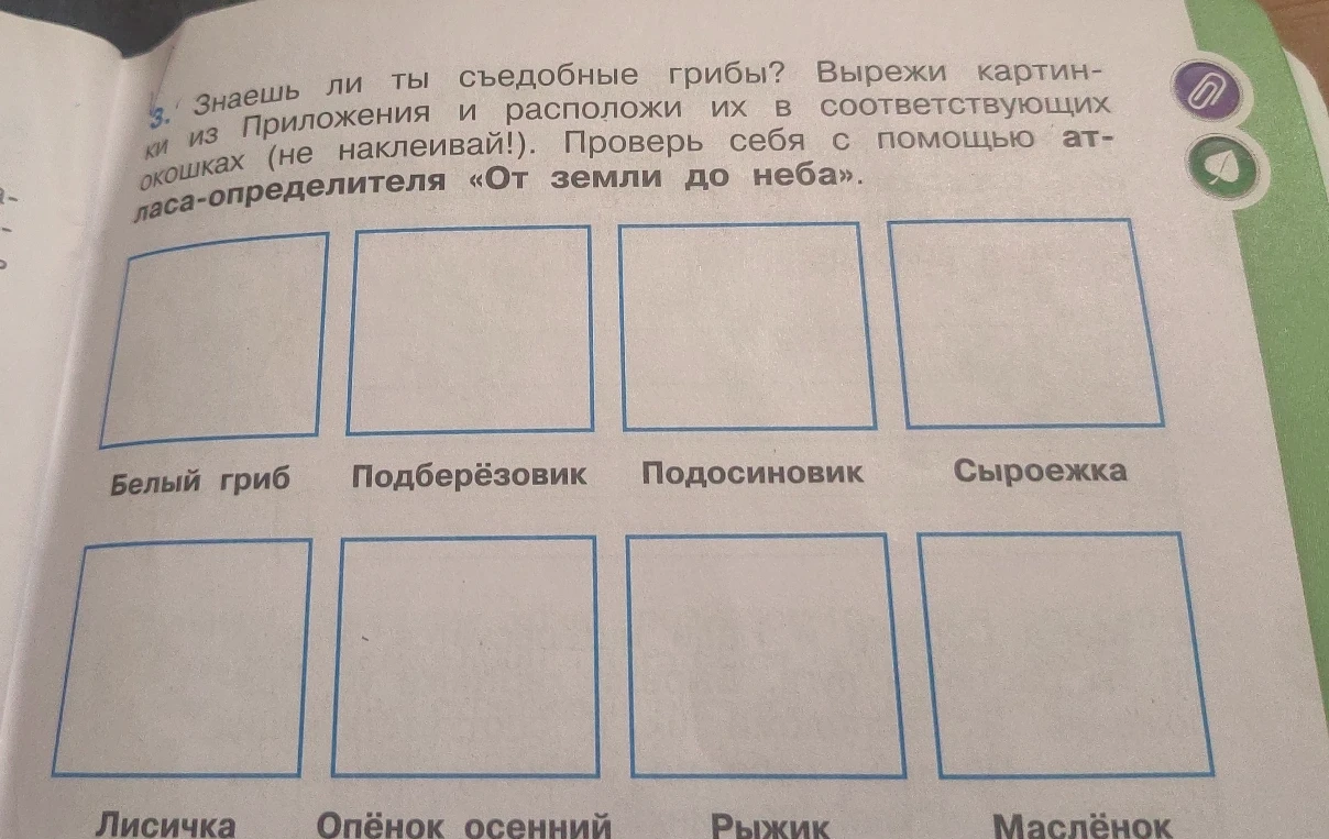 Знаешь ли ты съедобные грибы? Вырежи картинки из Приложения и расположи их в соответствующих окошках (не наклеивай!).