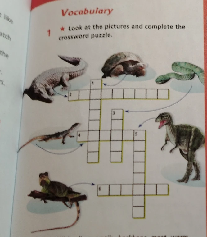 Look at the pictures and complete the crossword puzzle.