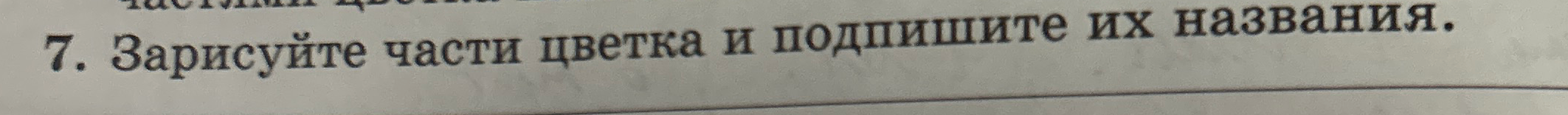 7. Зарисуйте части цветка и подпишите их названия.