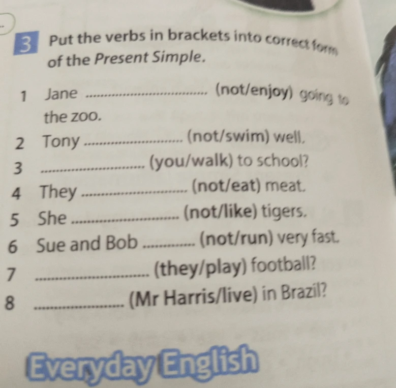Put the verbs in brackets into correct form of the Present Simple.