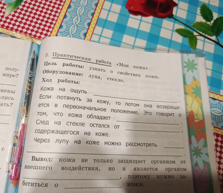 3. Практическая работа «Моя кожа». Заполните пропуски в ходе работы и сделайте вывод.