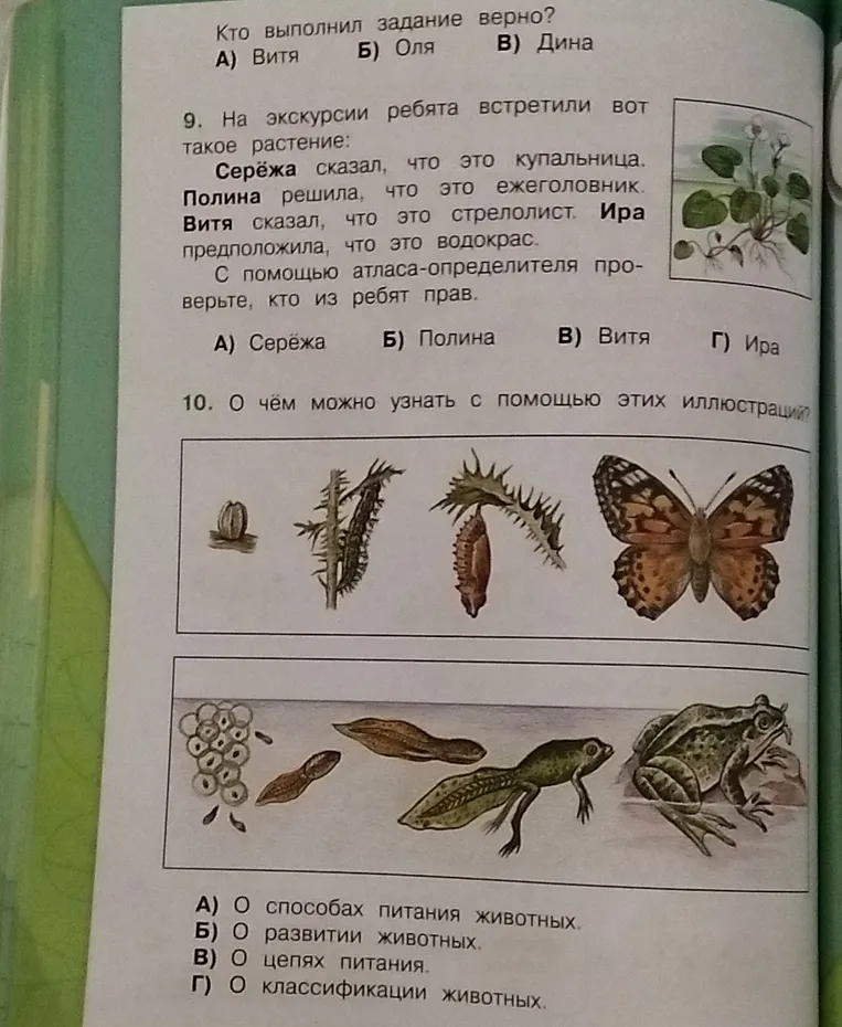 Кто выполнил задание верно? 9. На экскурсии ребята встретили вот такое растение... 10. О чём можно узнать с помощью этих иллюстраций?