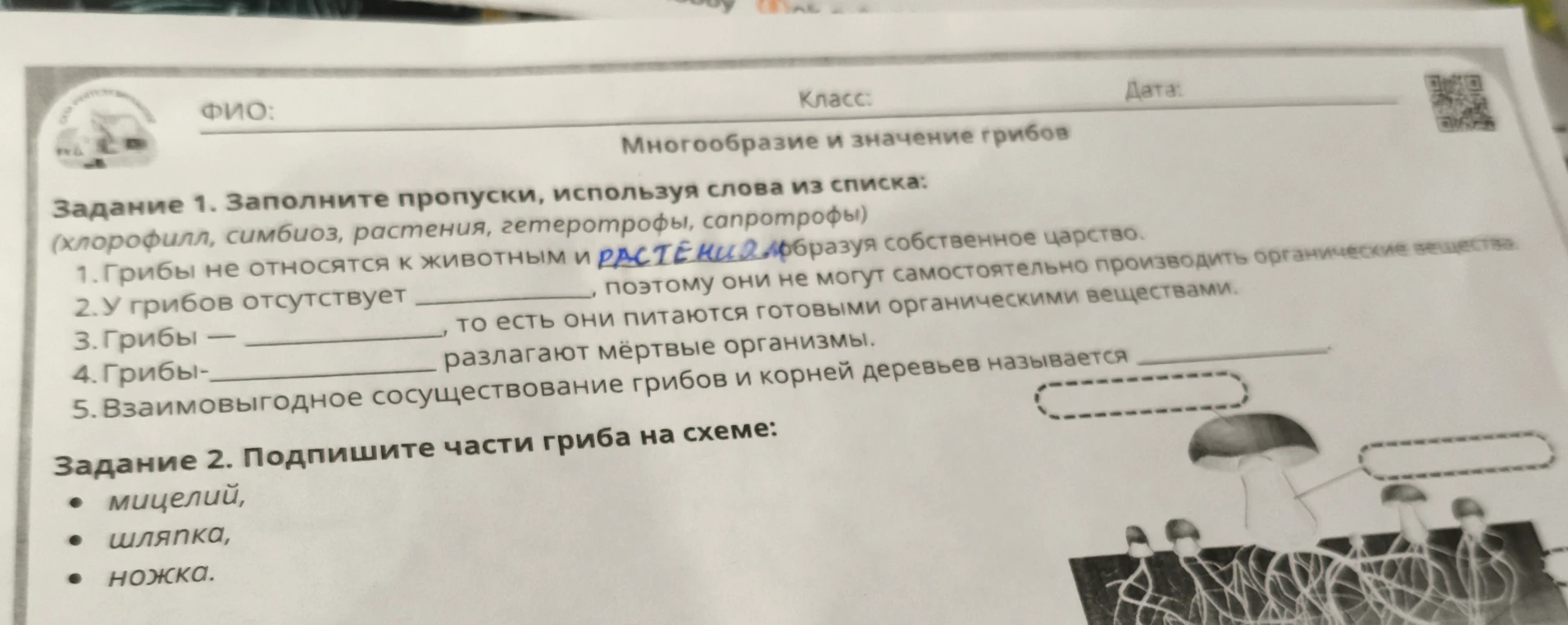 Задание 1. Заполните пропуски, используя слова из списка. Задание 2. Подпишите части гриба на схеме.