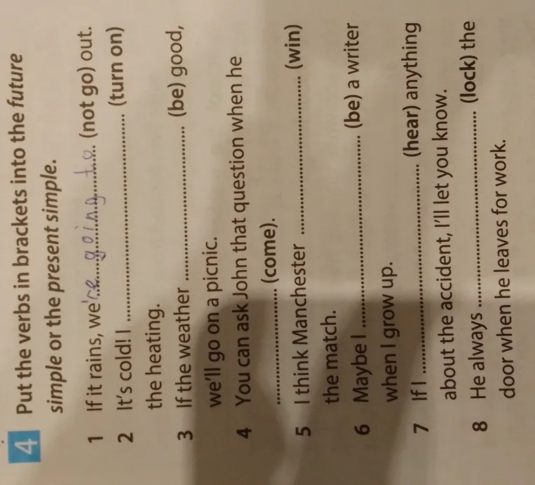 Put the verbs in brackets into the future simple or the present simple.