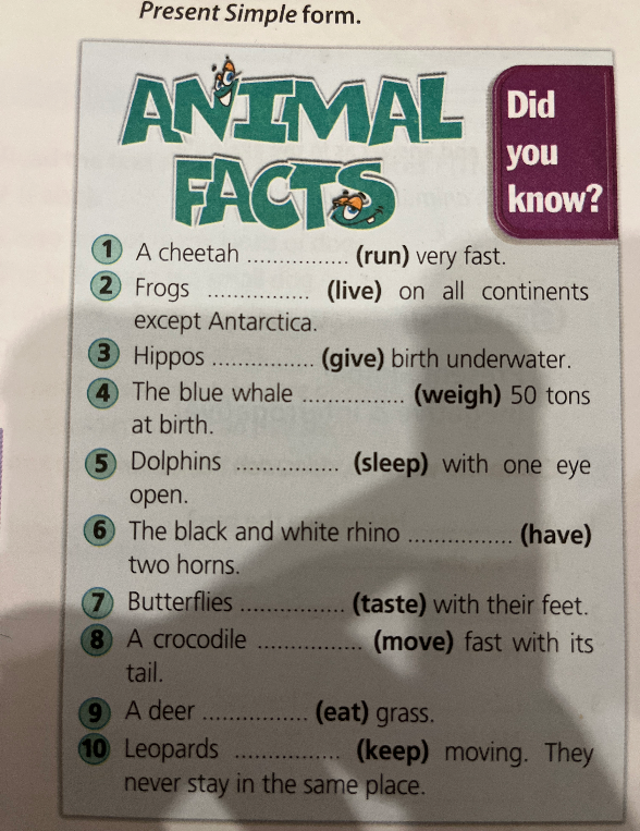 Present Simple form. ANIMAL FACTS. 1) A cheetah ... (run) very fast. 2) Frogs ... (live) on all continents except Antarctica.