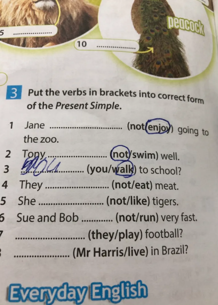 Put the verbs in brackets into correct form of the Present Simple.
