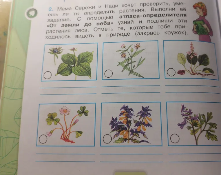Мама Серёжи и Нади хочет проверить, умеешь ли ты определять растения. С помощью атласа-определителя 'От земли до неба' узнай и подпиши эти растения леса.