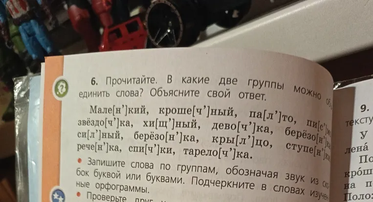 Прочитайте. В какие две группы можно объединить слова? Объясните свой ответ. Запишите слова по группам, обозначая звук из скобок буквой или буквами.