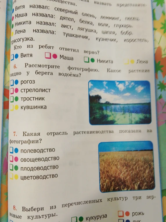 Рассмотрите фотографию. Какое растение видно у берега водоёма? Какая отрасль растениеводства показана на фотографии? Выбери из перечисленных культур три зерновые культуры.