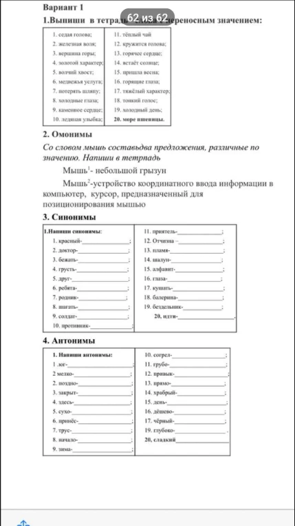 Вариант 1. 1. Выпиши в тетрадь словосочетания с переносным значением. 2. Омонимы. Со словом мышь составь два предложения, различные по значению. 3. Синонимы. Напиши синонимы. 4. Антонимы. Напиши антонимы.