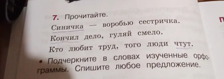 Подчеркните в словах изученные орфограммы. Спишите любое предложение.
