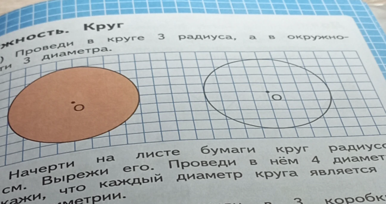 Проведи в круге 3 радиуса, а в окружности 3 диаметра.