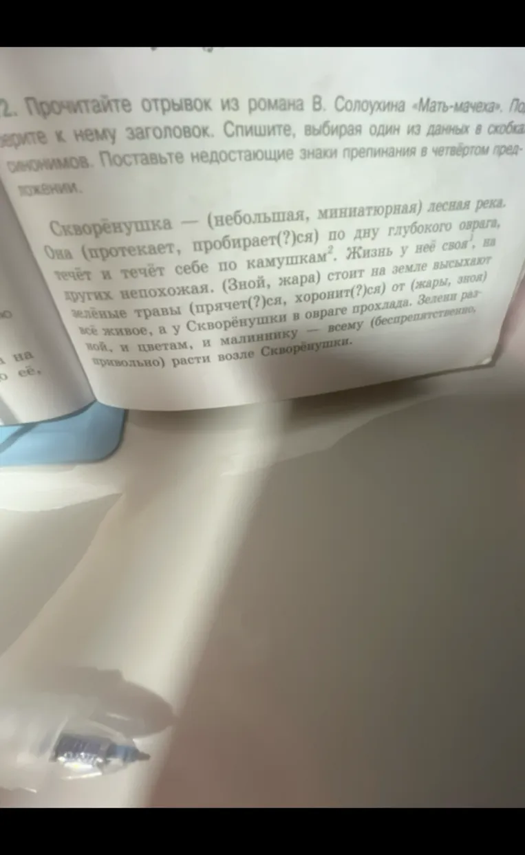 Прочитайте отрывок из романа В. Солоухина «Мать-мачеха». Подберите к нему заголовок. Спишите, выбирая один из данных в скобках синонимов. Поставьте недостающие знаки препинания в четвёртом предложении.