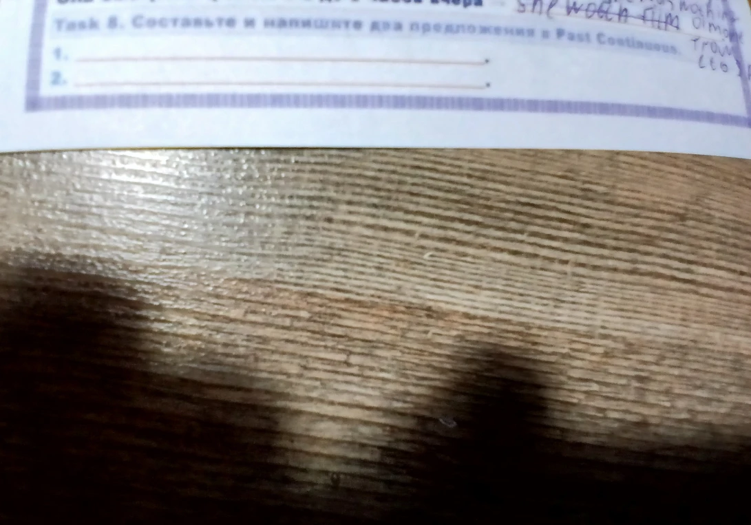 Task 8. Составьте и напишите два предложения в Past Continuous.