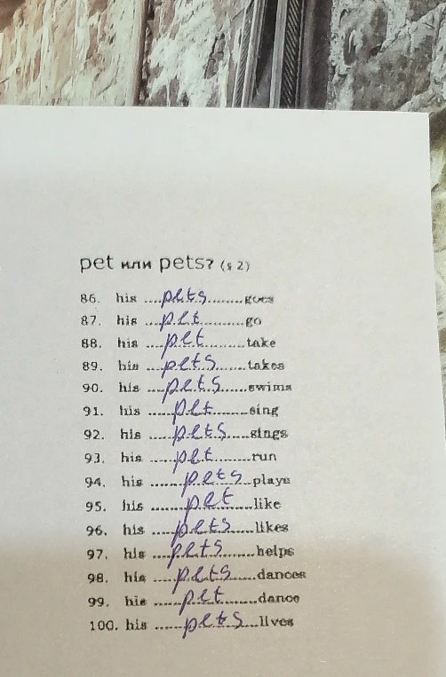 pet или pets? (§ 2). 86. his ... goes, 87. his ... go, 88. his ... take...