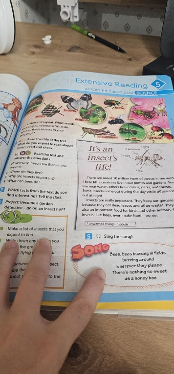 Read the text and answer the questions. 1. How many insects are there in the world? 2. Where do they live? 3. Why are insects important? 4. What can bees do?