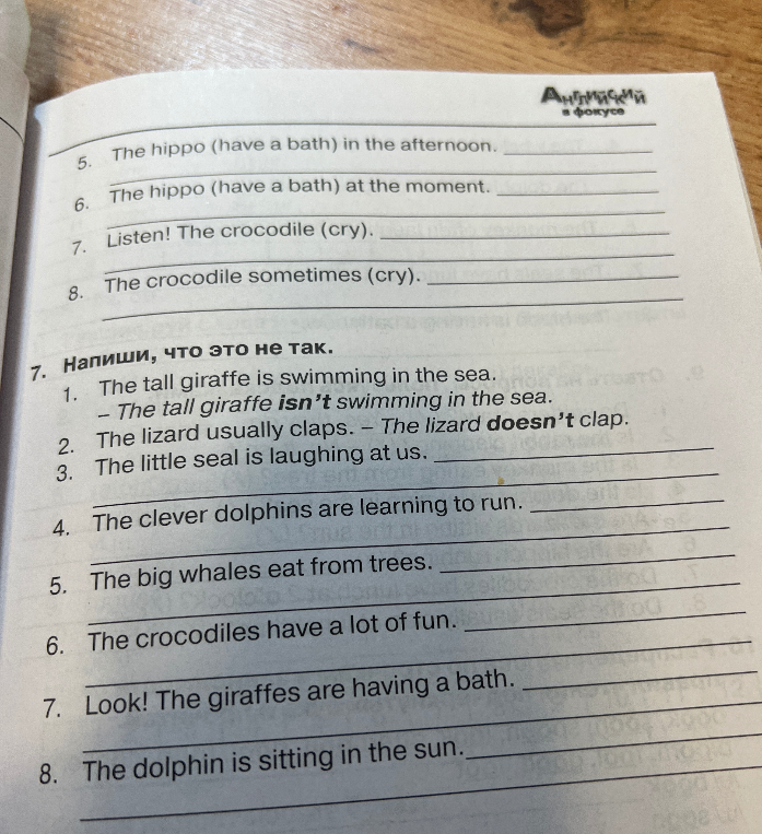 7. Напиши, что это не так. 3. The little seal is laughing at us.