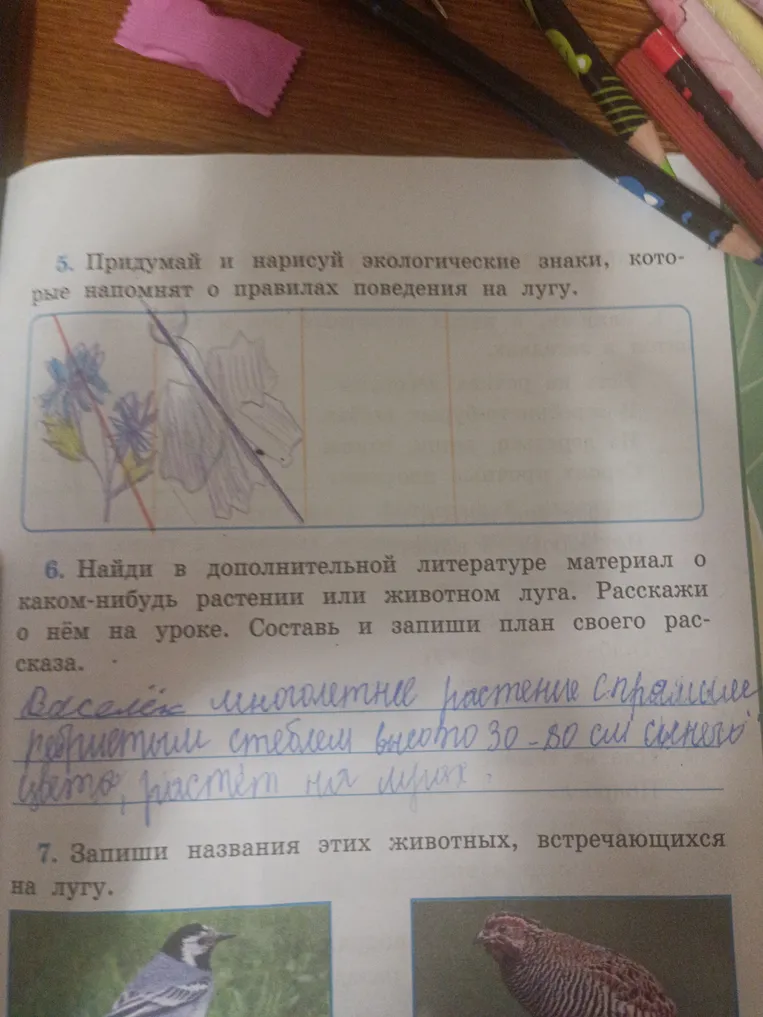 5. Придумай и нарисуй экологические знаки, которые напомнят о правилах поведения на лугу. 6. Найди в дополнительной литературе материал о каком-нибудь растении или животном луга. Расскажи о нём на уроке. Составь и запиши план своего рассказа. 7. Запиши названия этих животных, встречающихся на лугу.