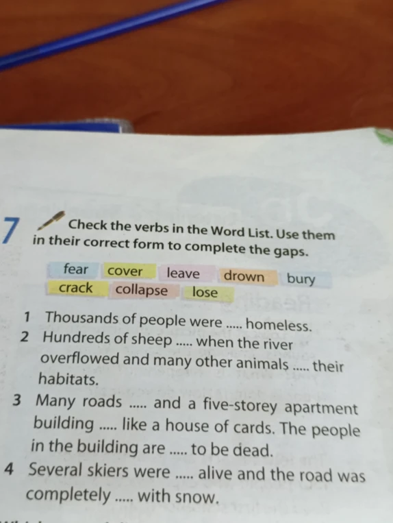 Check the verbs in the Word List. Use them in their correct form to complete the gaps.