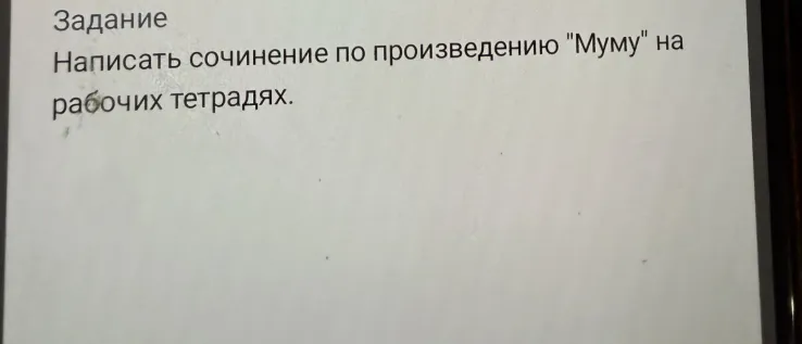 Написать сочинение по произведению "Муму" на рабочих тетрадях.