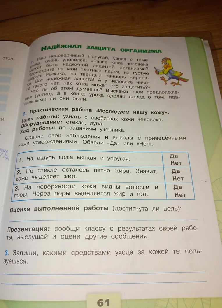 2. Практическая работа «Исследуем нашу кожу». Сравни свои наблюдения и выводы с приведёнными ниже утверждениями. 3. Запиши, какими средствами ухода за кожей ты пользуешься.