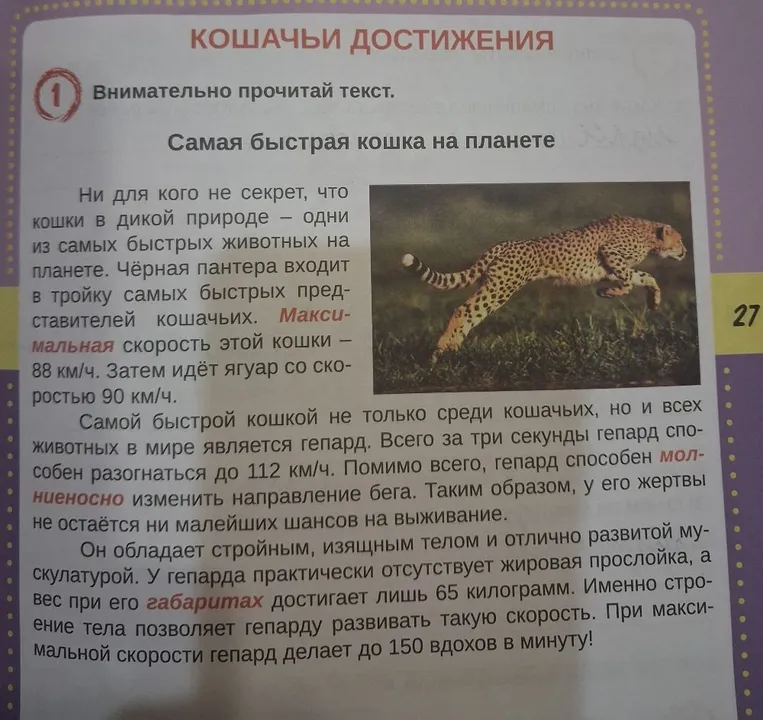 Подготовь и перескажи второй абзац текста 'Самая быстрая кошка на планете'