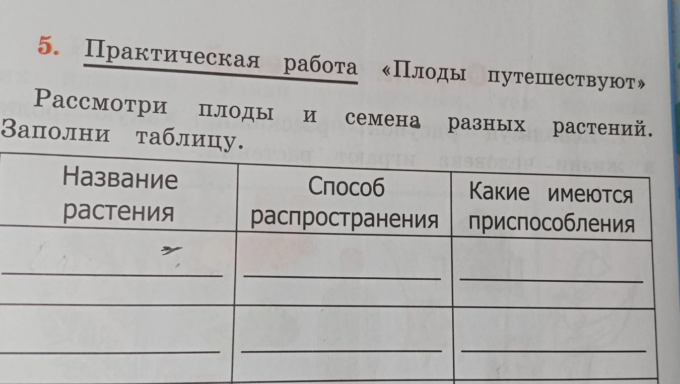 5. Практическая работа «Плоды путешествуют». Рассмотри плоды и семена разных растений. Заполни таблицу.