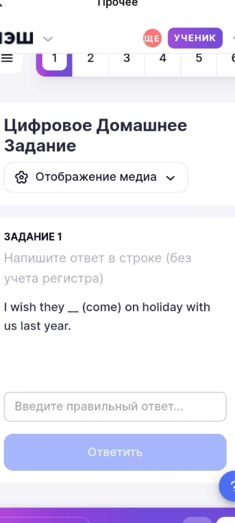 I wish they _ (come) on holiday with us last year.