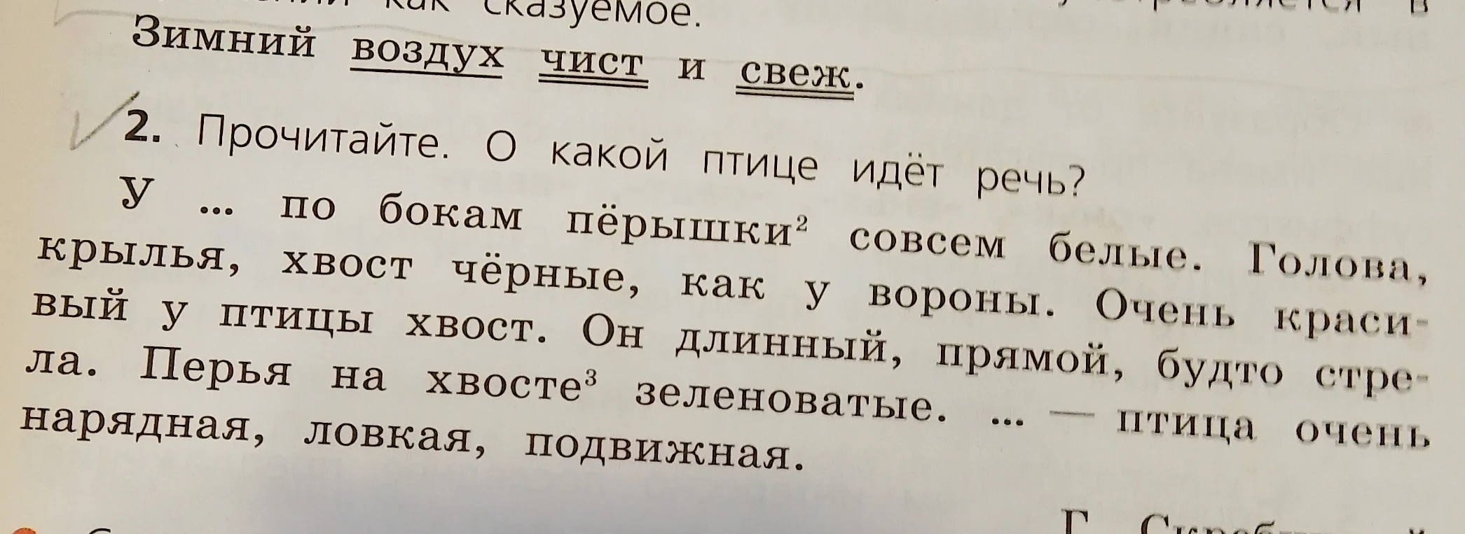 Прочитайте. О какой птице идёт речь? У ... по бокам пёрышки совсем белые. Голова, крылья, хвост чёрные, как у вороны. Очень красивый у птицы хвост. Он длинный, прямой, будто стрела. Перья на хвосте зеленоватые. ... — птица очень нарядная, ловкая, подвижная.