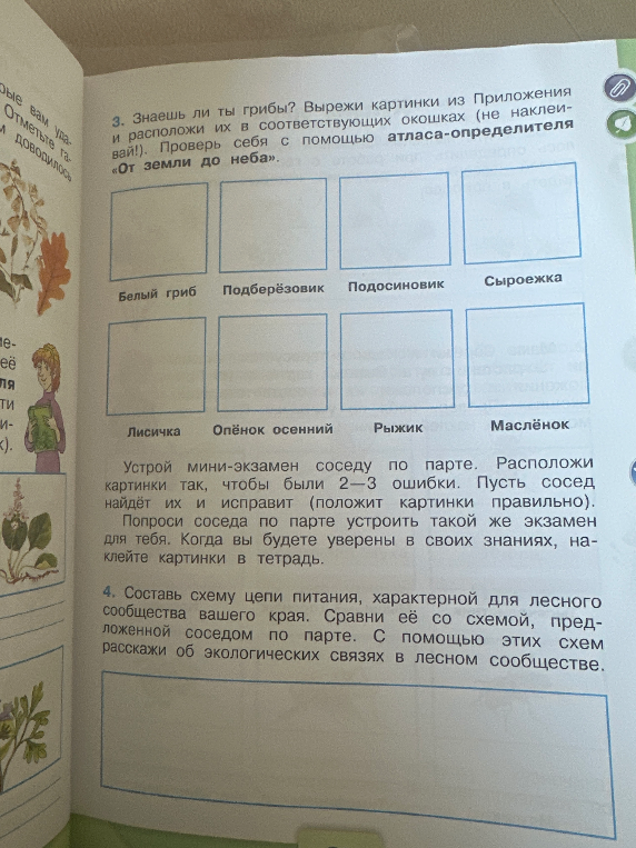 Составь схему цепи питания, характерной для лесного сообщества вашего края. С помощью этих схем расскажи об экологических связях в лесном сообществе.