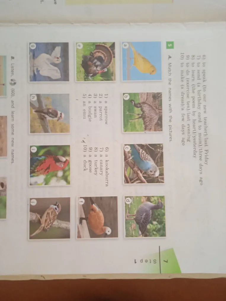 Match the names with the pictures.
