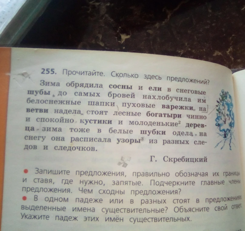 255. Прочитайте. Сколько здесь предложений? Зима обрядила сосны и ели в снеговые шубы до самых бровей нахлобучила им белоснежные шапки пуховые варежки на ветви надела стоят лесные богатыри чинно и спокойно кустики и молоденькие деревца зима тоже в белые шубки одела на снегу она расписала узоры из разных следов и следочков.