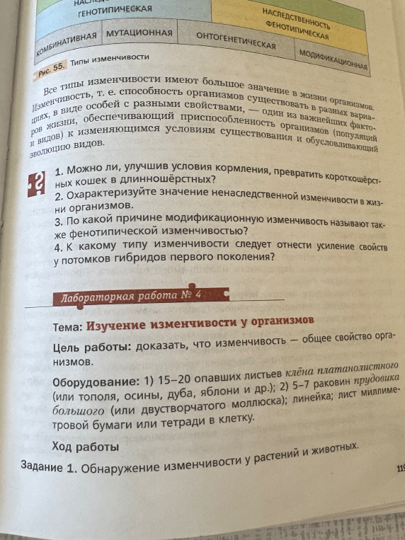 1. Можно ли, улучшив условия кормления, превратить короткошёрстных кошек в длинношёрстных? 2. Охарактеризуйте значение ненаследственной изменчивости в жизни организмов. 3. По какой причине модификационную изменчивость называют также фенотипической изменчивостью? 4. К какому типу изменчивости следует отнести усиление свойств у потомков гибридов первого поколения?