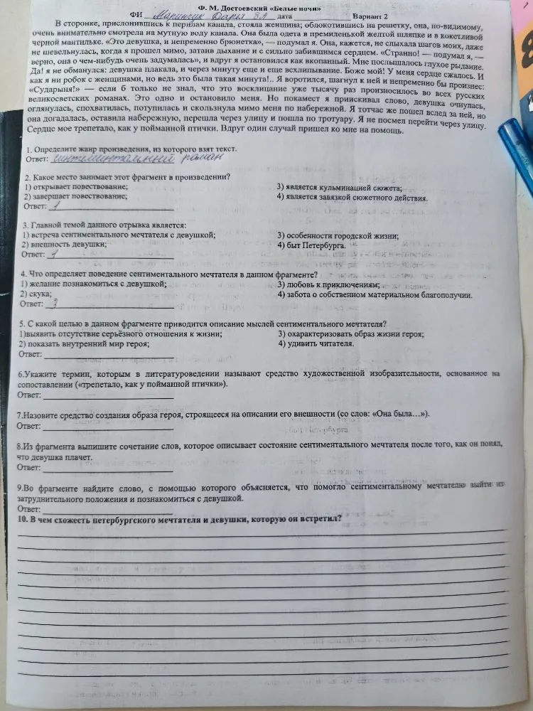 Выполните задания по тексту Ф. М. Достоевского 'Белые ночи' (Вариант 2).