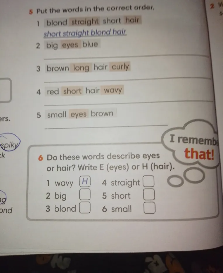 Put the words in the correct order