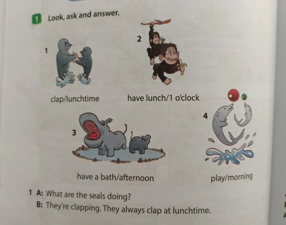Look, ask and answer. 1 clap/lunchtime. 2 have lunch/1 o'clock. 3 have a bath/afternoon. 4 play/morning.