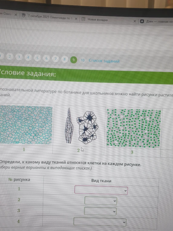 Определи, к какому виду тканей относятся клетки на каждом рисунке.