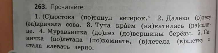 Прочитайте. 1. (С)востока (по)тянул ветерок. 2. Далеко (в)лесу (за)кричала сова. 3. Туча краем (на)катилась (на)солнце. 4. Муравьишка (до)лез (до)вершины берёзы. 5. Синичка (по)летала (по)комнате, (в)летела (в)клетку и стала клевать зерно.