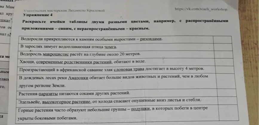 Раскрасьте ячейки таблицы двумя разными цветами, например, с распространёнными приложениями – синим, с нераспространёнными – красным.