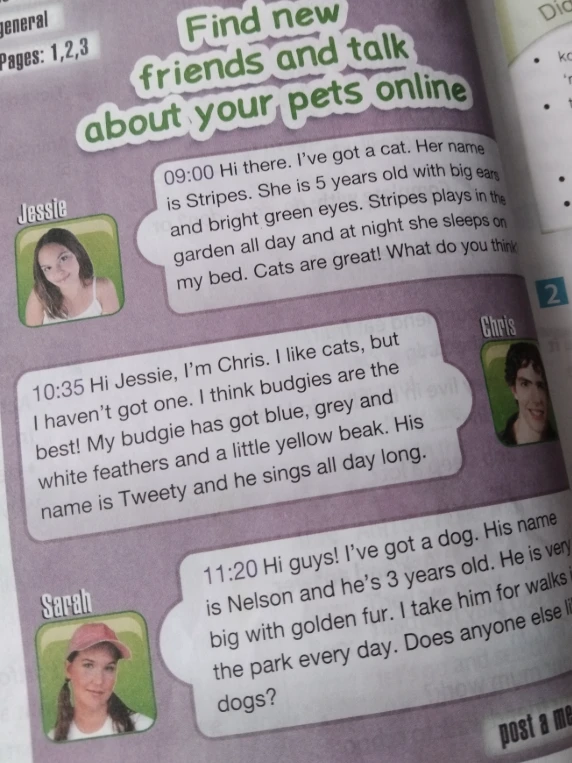 Find new friends and talk about your pets online