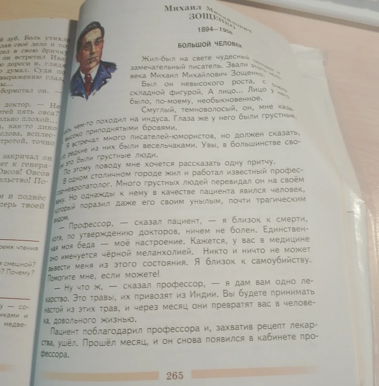 Составьте конспект текста Михаила Зощенко «Большой человек»