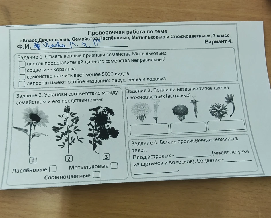 Отметь верные признаки семейства Мотыльковые