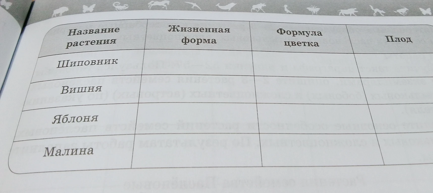 Заполните таблицу: Название растения (Шиповник, Вишня, Яблоня, Малина), Жизненная форма, Формула цветка, Плод