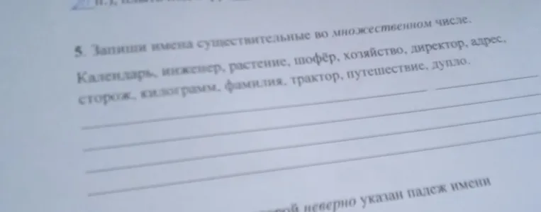 Запиши имена существительные во множественном числе.