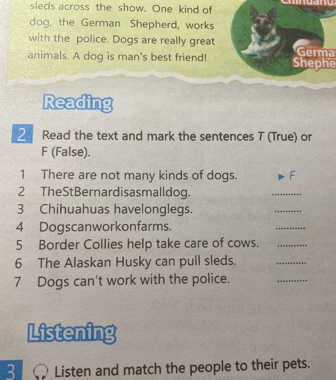 Read the text and mark the sentences T (True) or F (False).