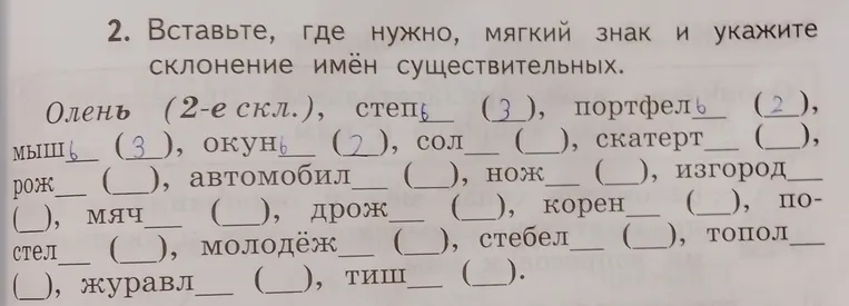 Вставьте, где нужно, мягкий знак и укажите склонение имён существительных.