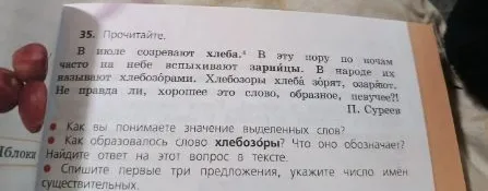 Спишите первые три предложения, укажите число имен существительных.