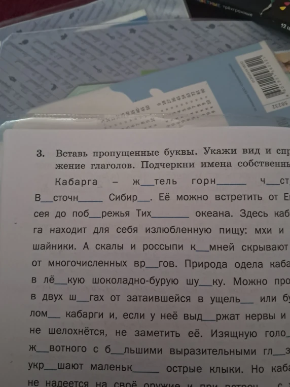 Вставь пропущенные буквы. Укажи вид и спряжение глаголов. Подчеркни имена собственные.